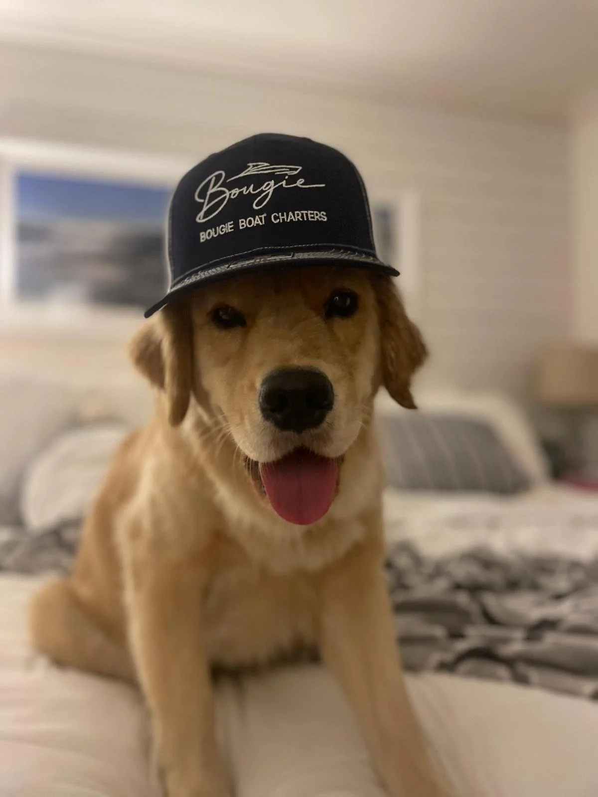 Ava's dog.jpg