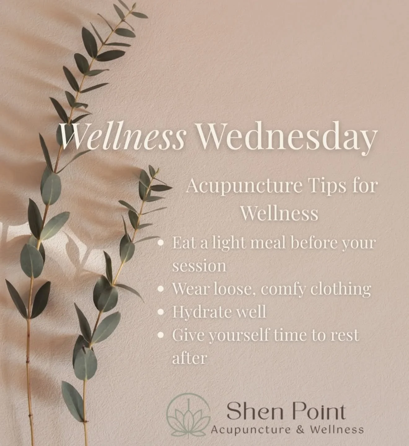 ✨ Wellness Wednesday Tip ✨
Acupuncture is most effective when your body feels supported before and after treatment. Here are a few simple ways to get the most out of your session:
🌿 Eat a light, nourishing meal
🌿 Wear comfortable clothing
🌿 Stay h