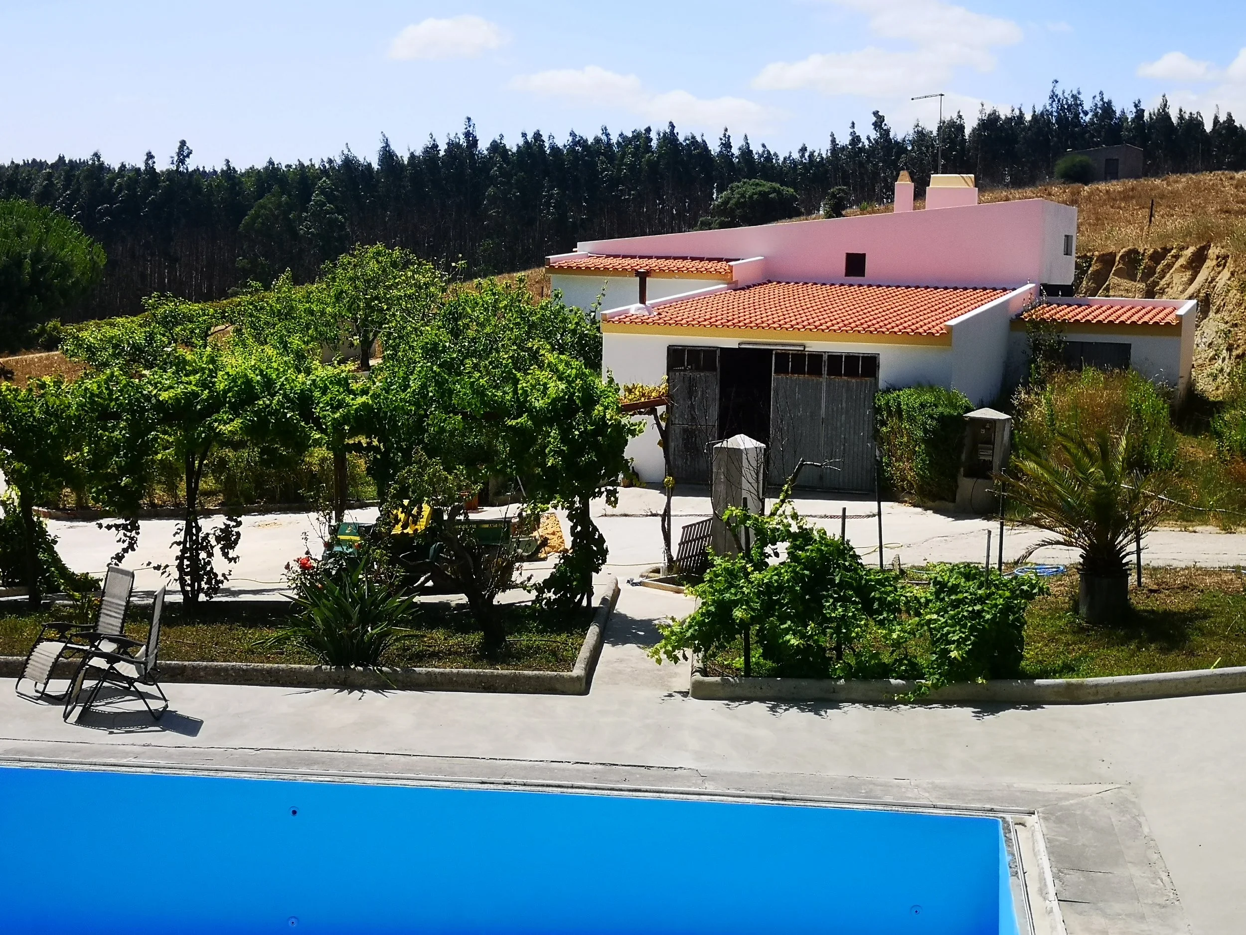 Quinta Oeste 6Ha - 500,000€