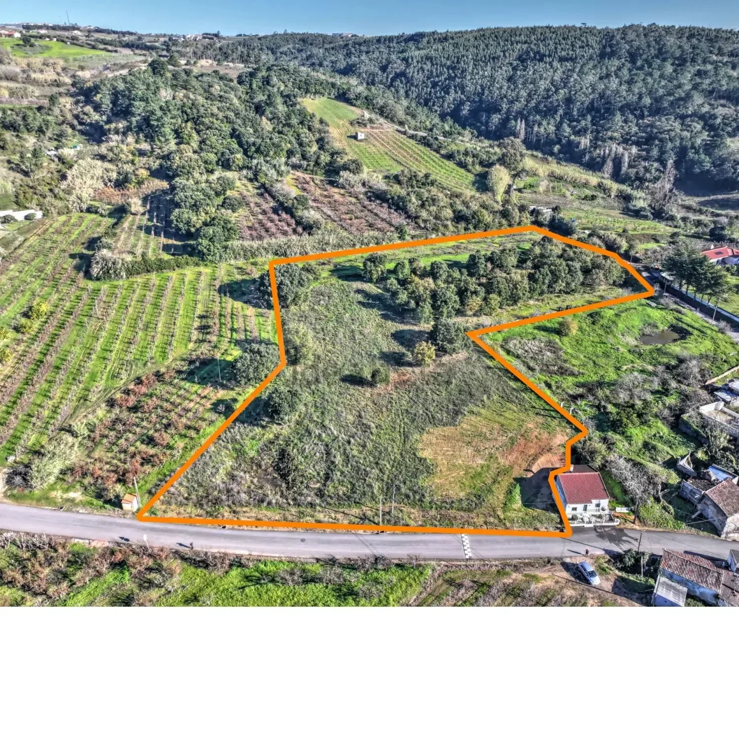 Terreno construção Delgada - 175.000€