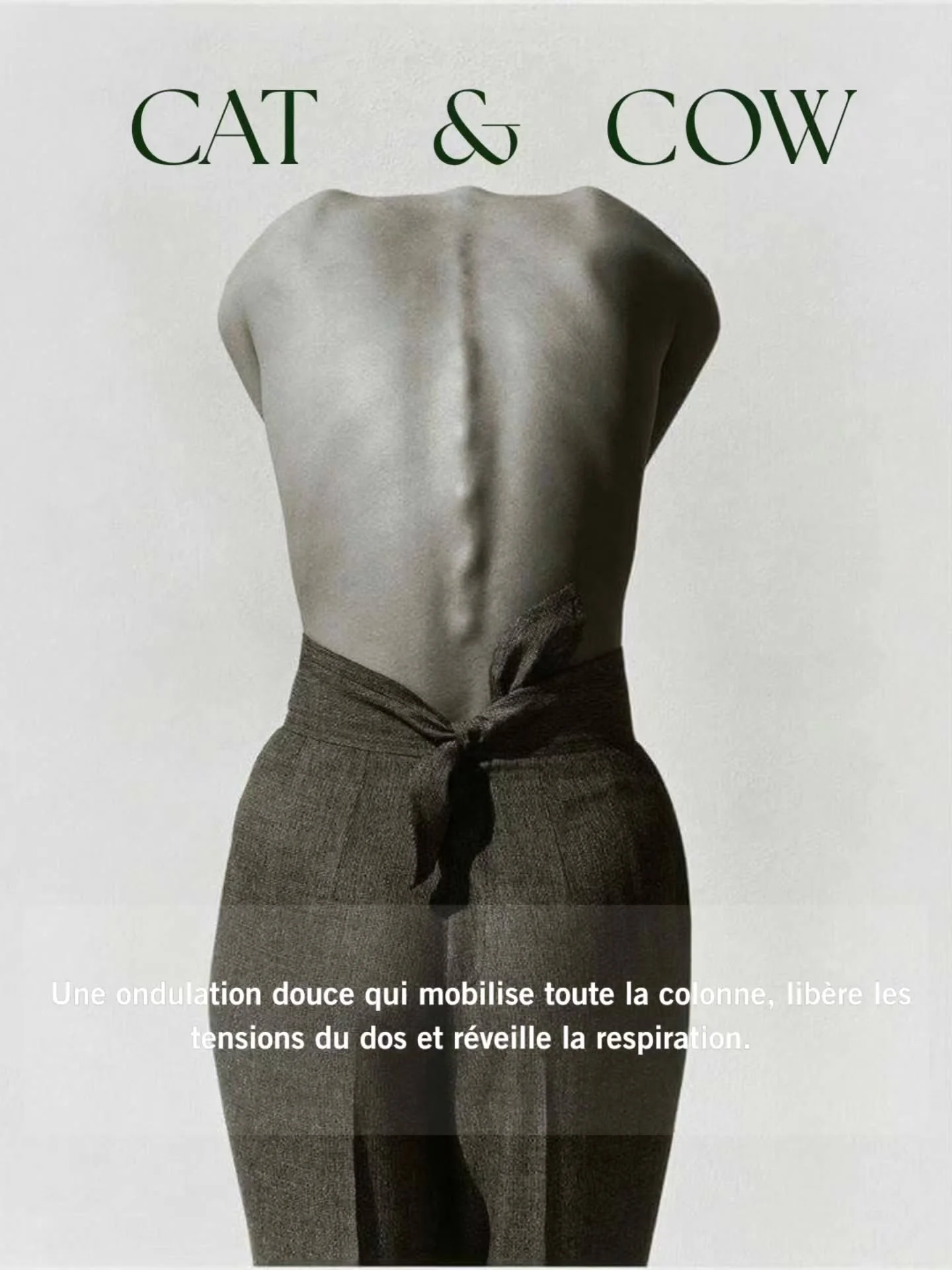 🐈Cat / Cow🐄 &mdash; Mobilit&eacute; &amp; Lib&eacute;ration du Dos 

Un classique revisit&eacute; avec une articulation vert&egrave;bre apr&egrave;s vert&egrave;bre pour un effet &laquo; vague &raquo; du bassin jusqu&rsquo;&agrave; la nuque.

🌊 Po