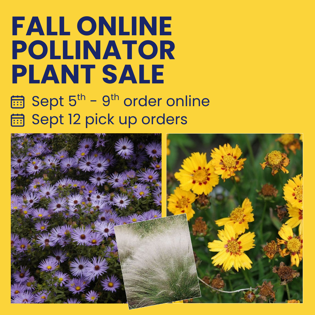 Online Plant Sale