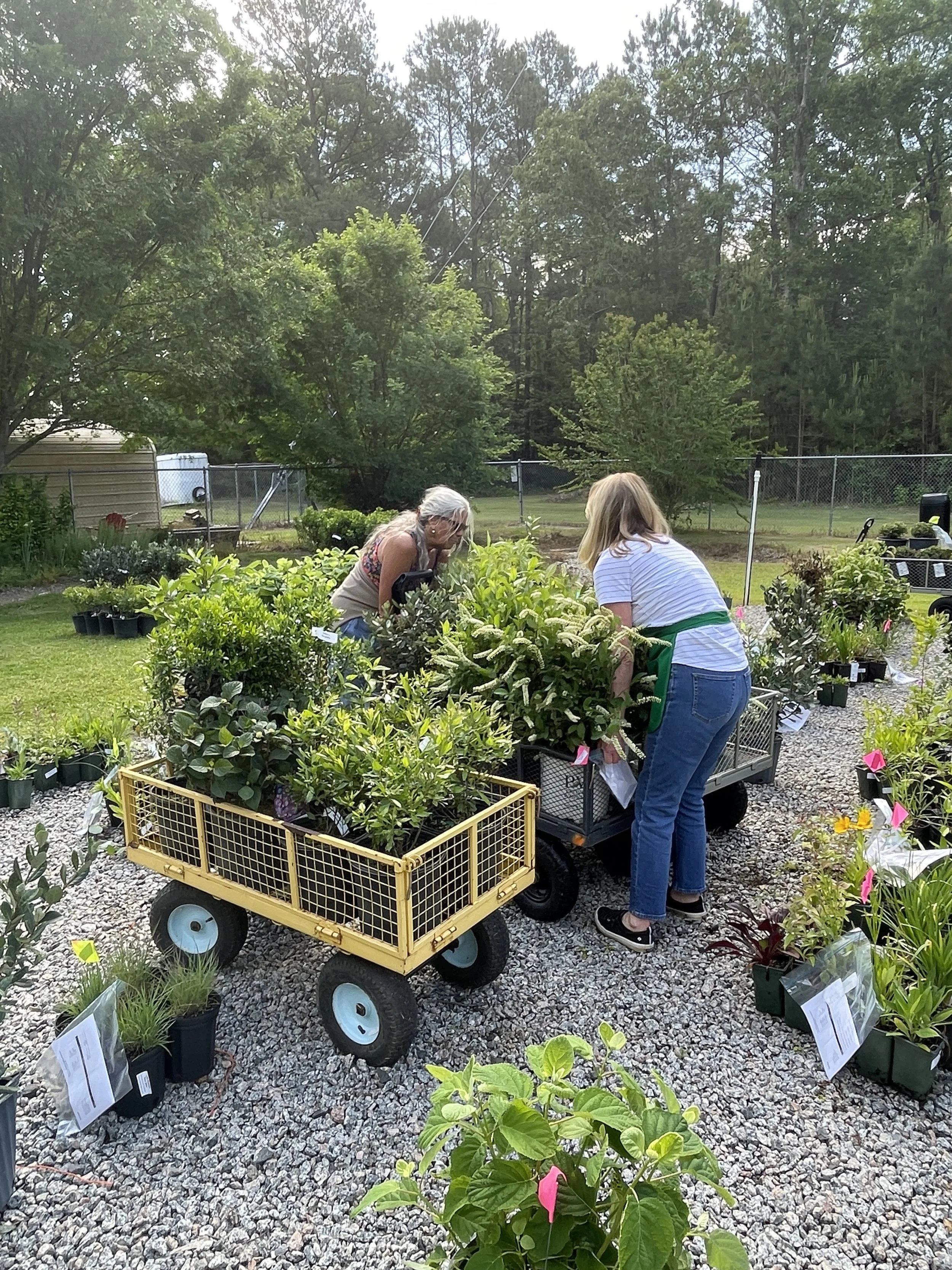 Plant Sale