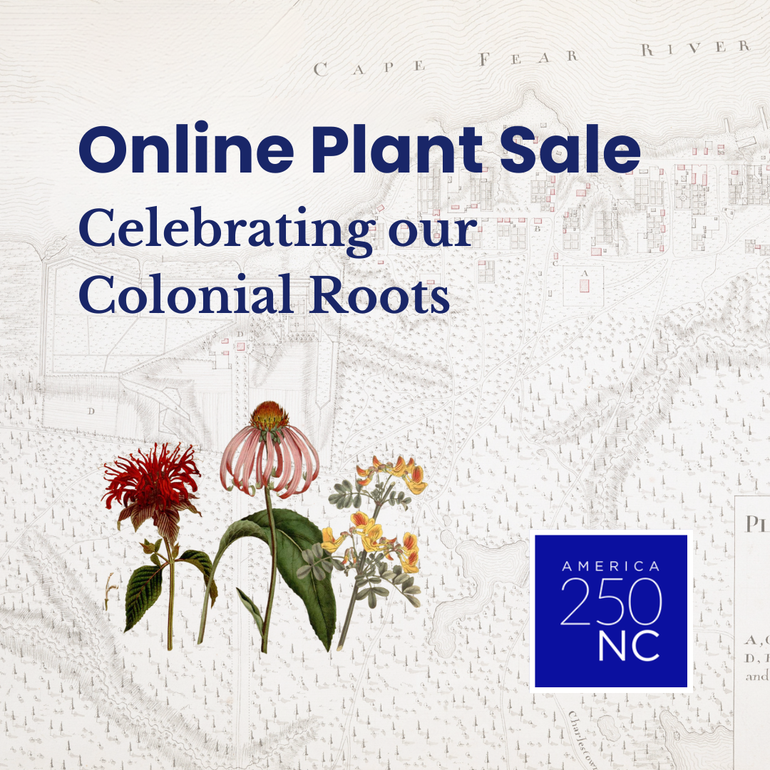 Old time picture of three flowers on background of an old Brunswick County map.  Text says Online Plant Sale.