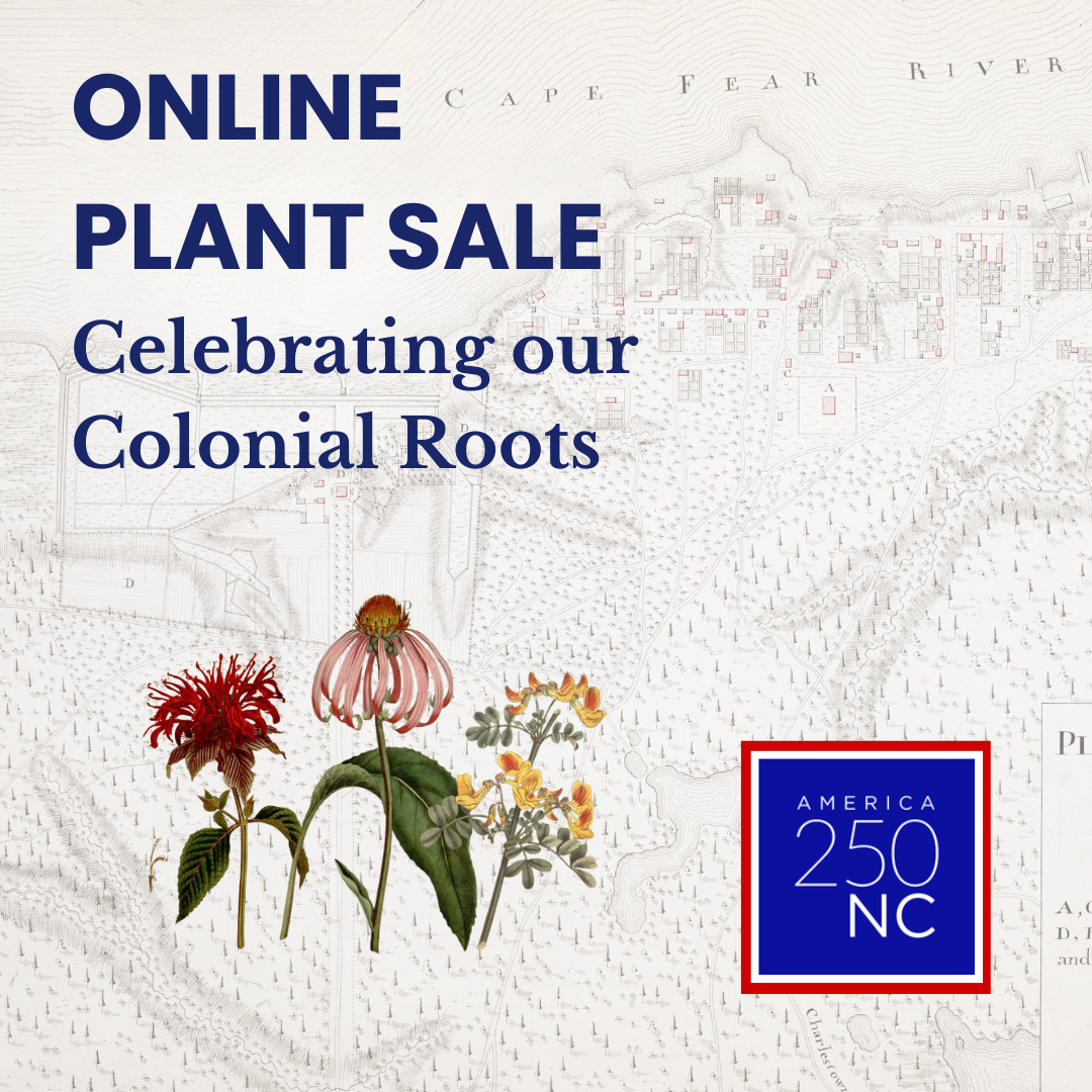 Online Plant Sale