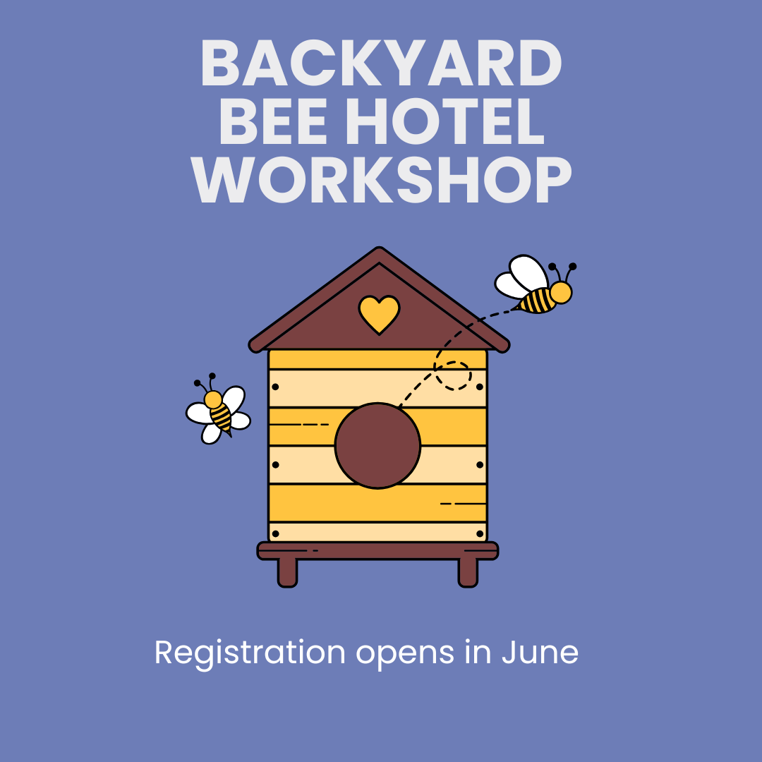 Backyard Bee Hotel Workshop