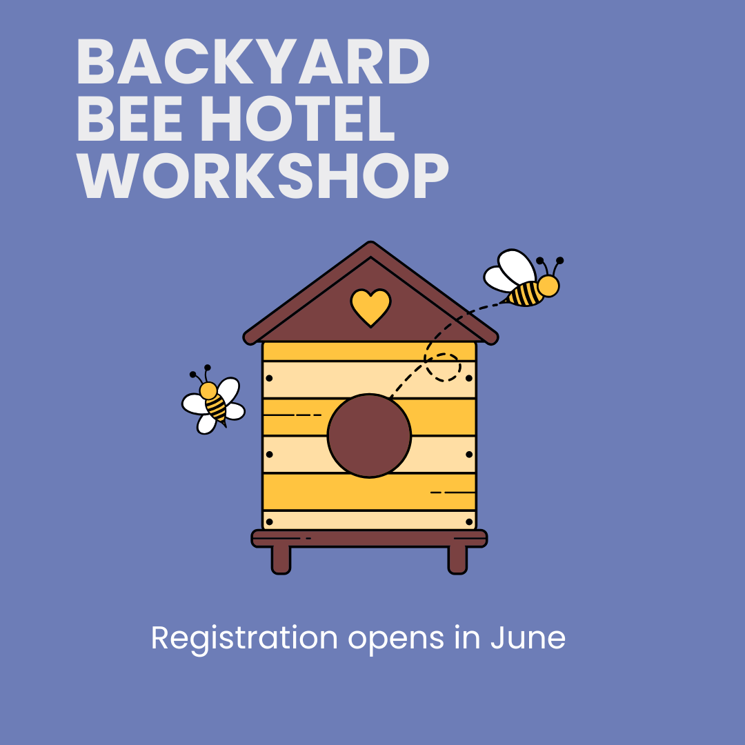 Backyard Bee Hotel Workshop