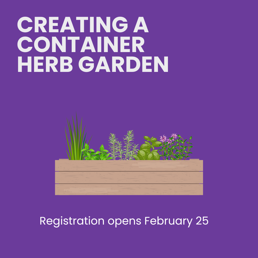 Herb Container Workshop