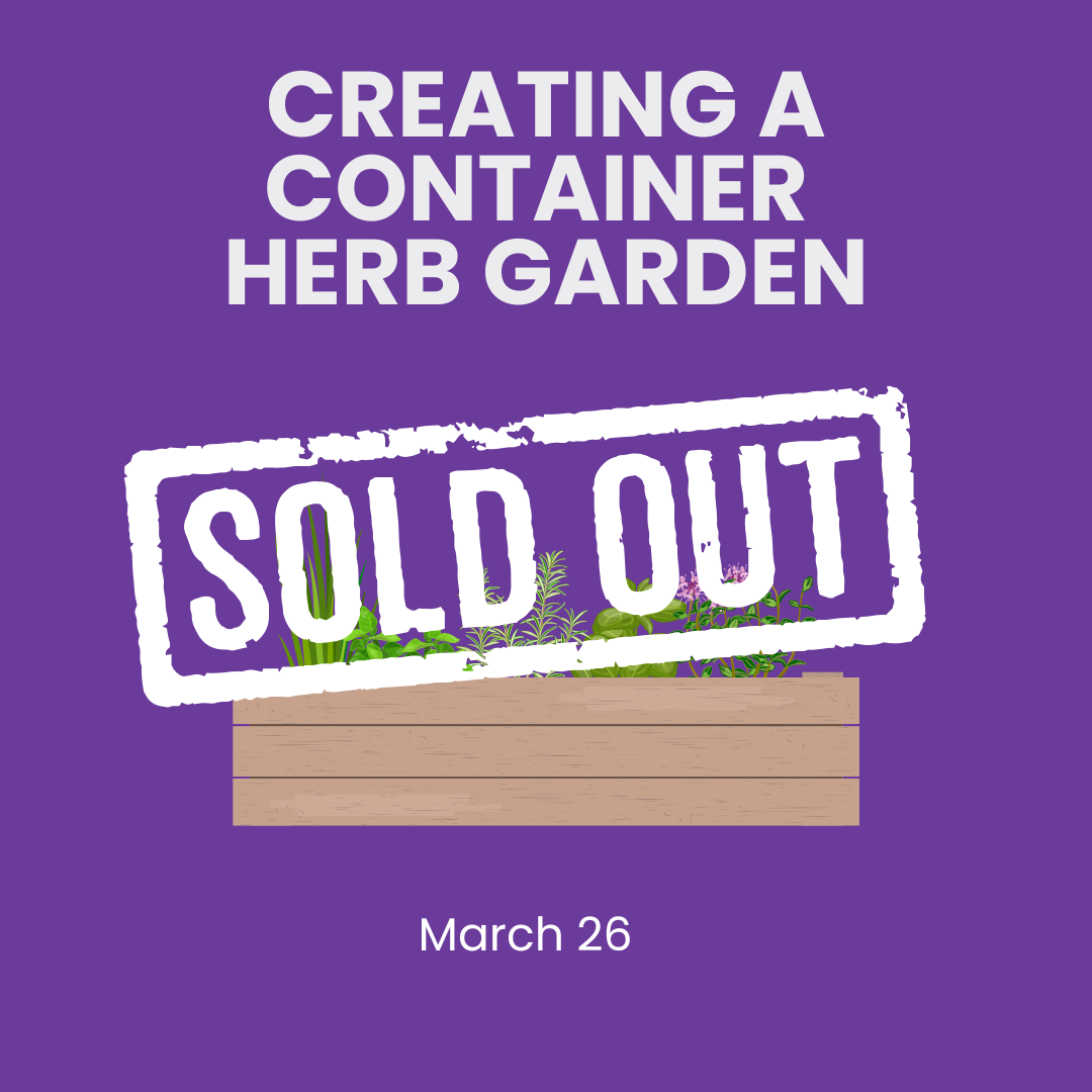 Herb Container Workshop