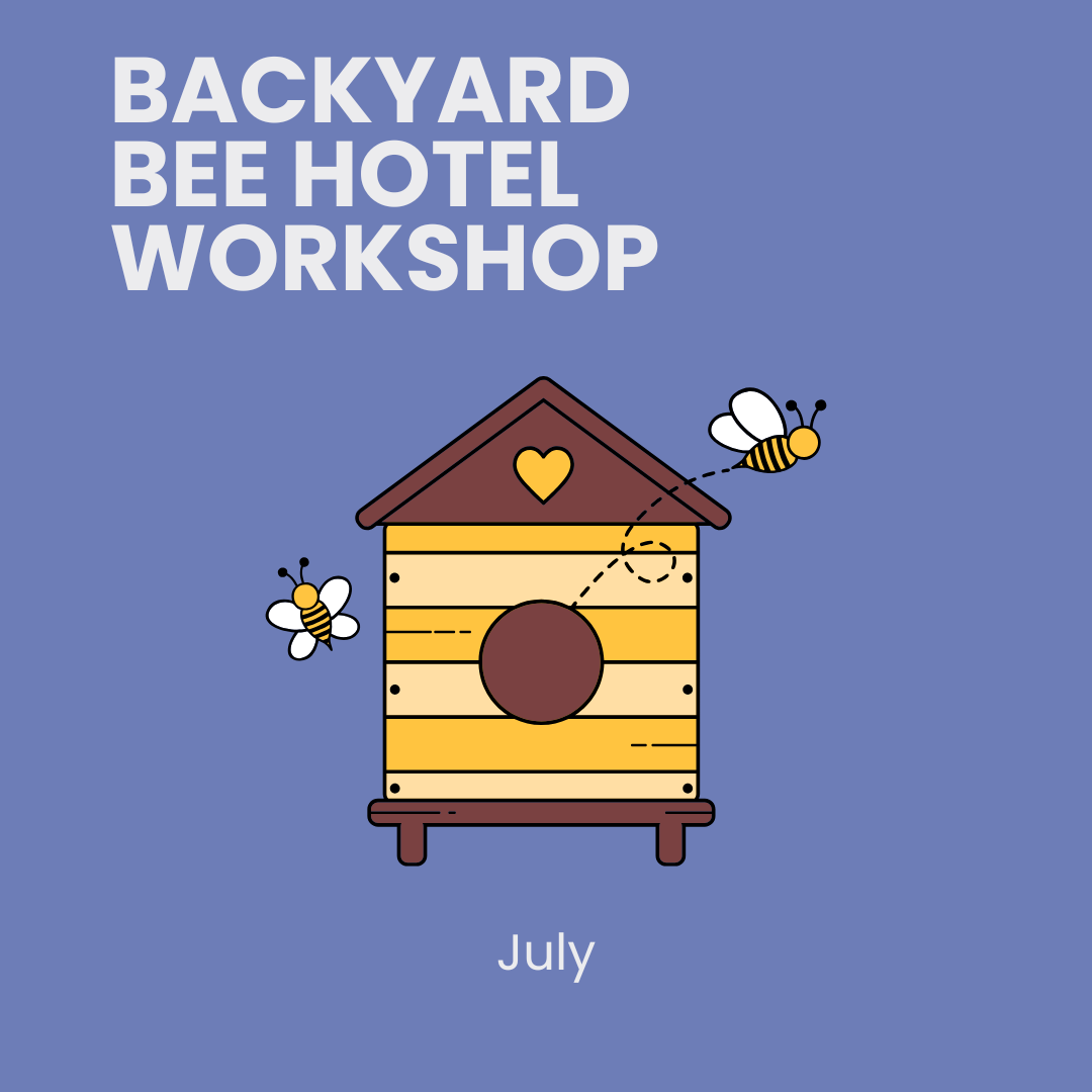Backyard Bee Hotel Workshop