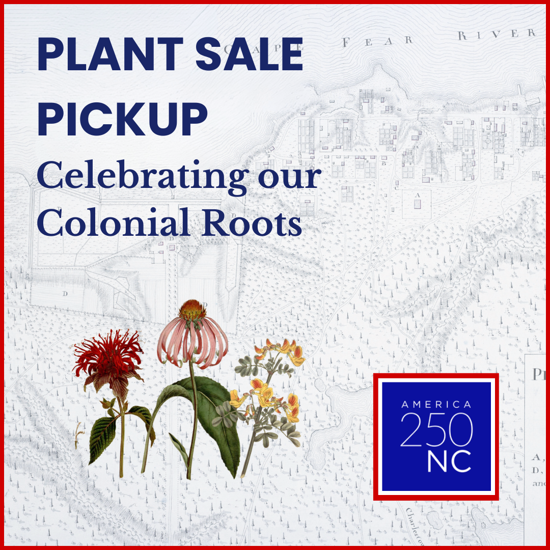 Plant Sale Pickup and More 