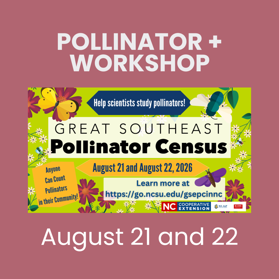 Pollinator Plus Workshop