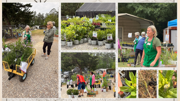 🪻Spring Plant Sale