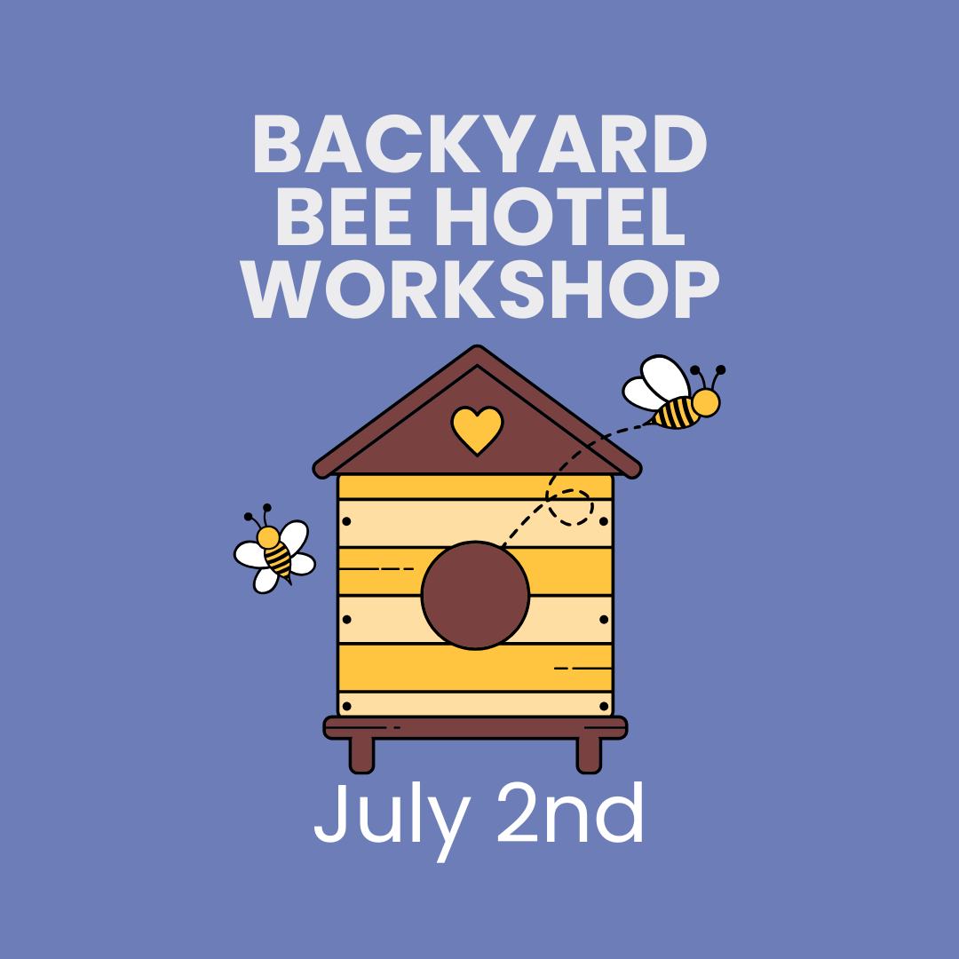 Backyard Bee Hotel Workshop