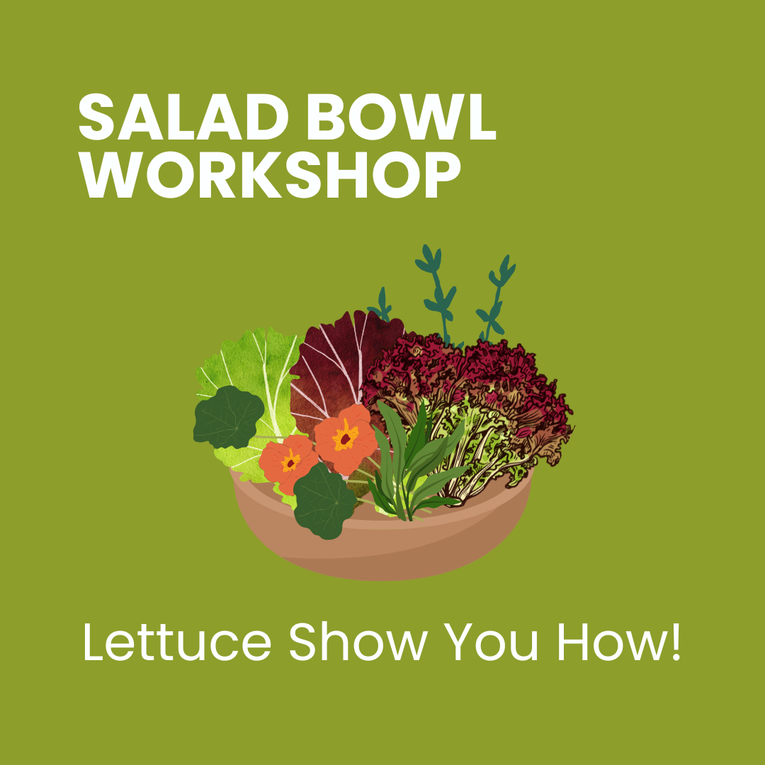 Grow Your Own Salad Bowl