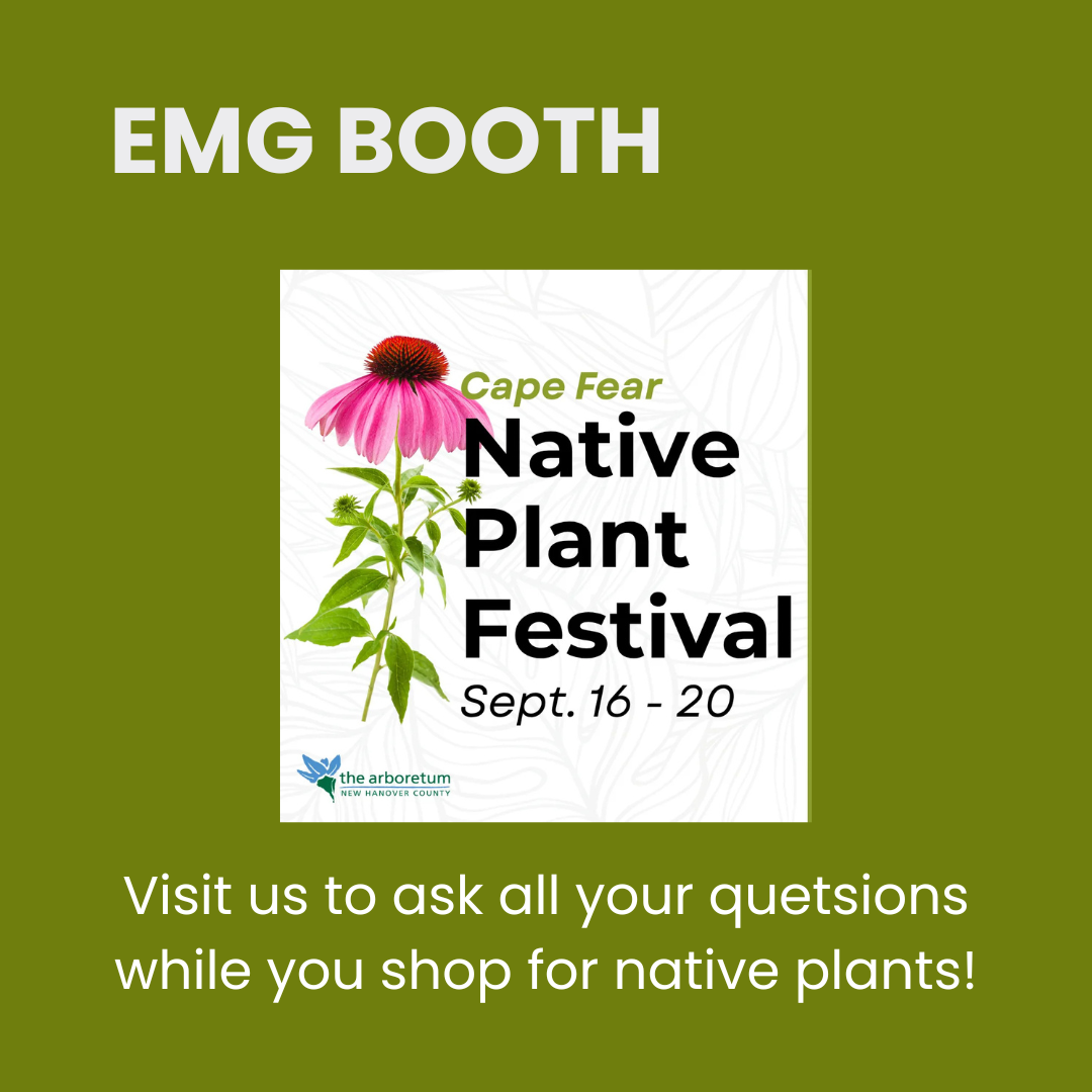 Native Plant Festival 