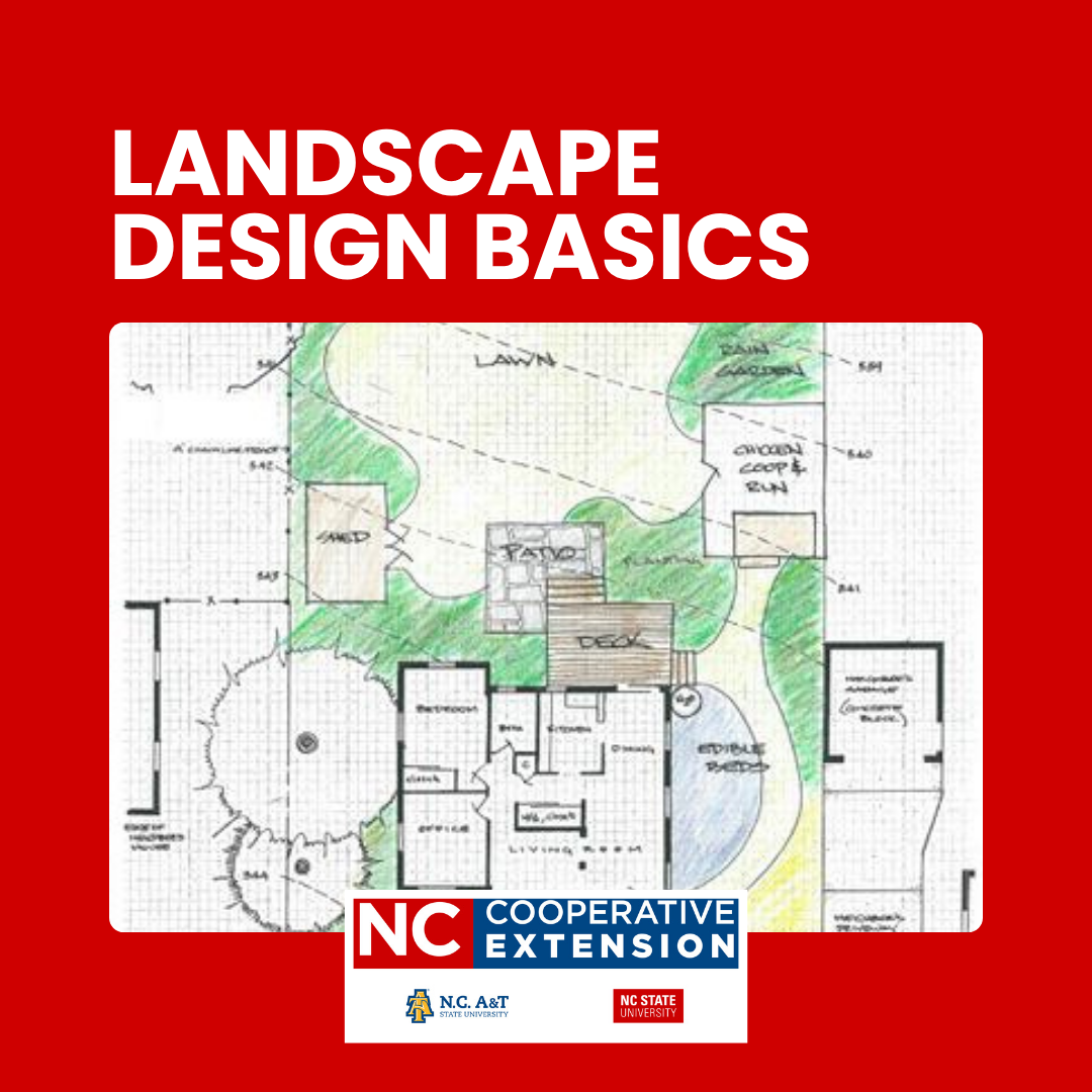 Landscape Design Basics for a Successful Garden in Coastal Carolina