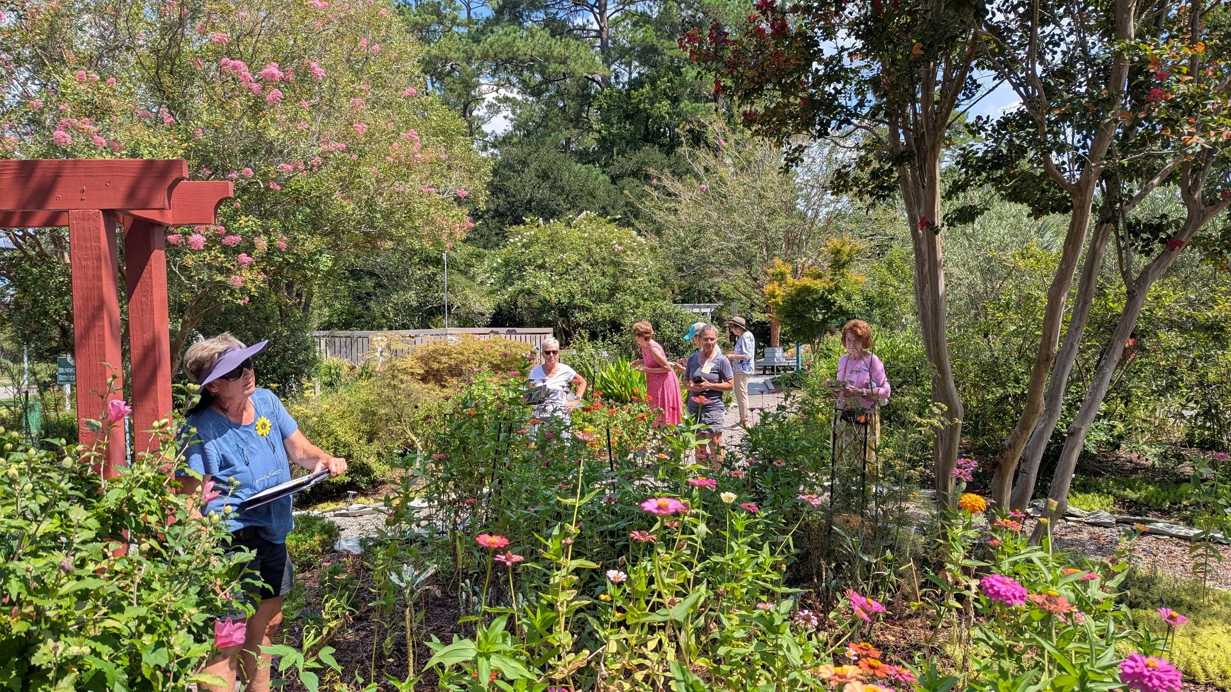 Pollinator PLUS Adds Up to a Big Count! 🐝🦋