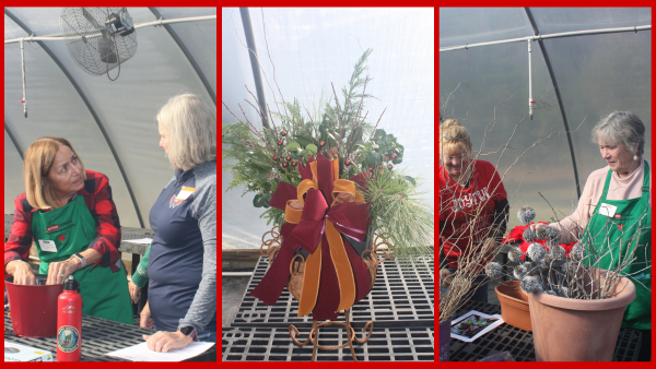 a MG and a participant discussing ideas; a finished holiday porch pot featuring mixed greenery and a large burgundy and gold bow; and a MG and a participants arranging branches and seasonal greenery in a terracotta container