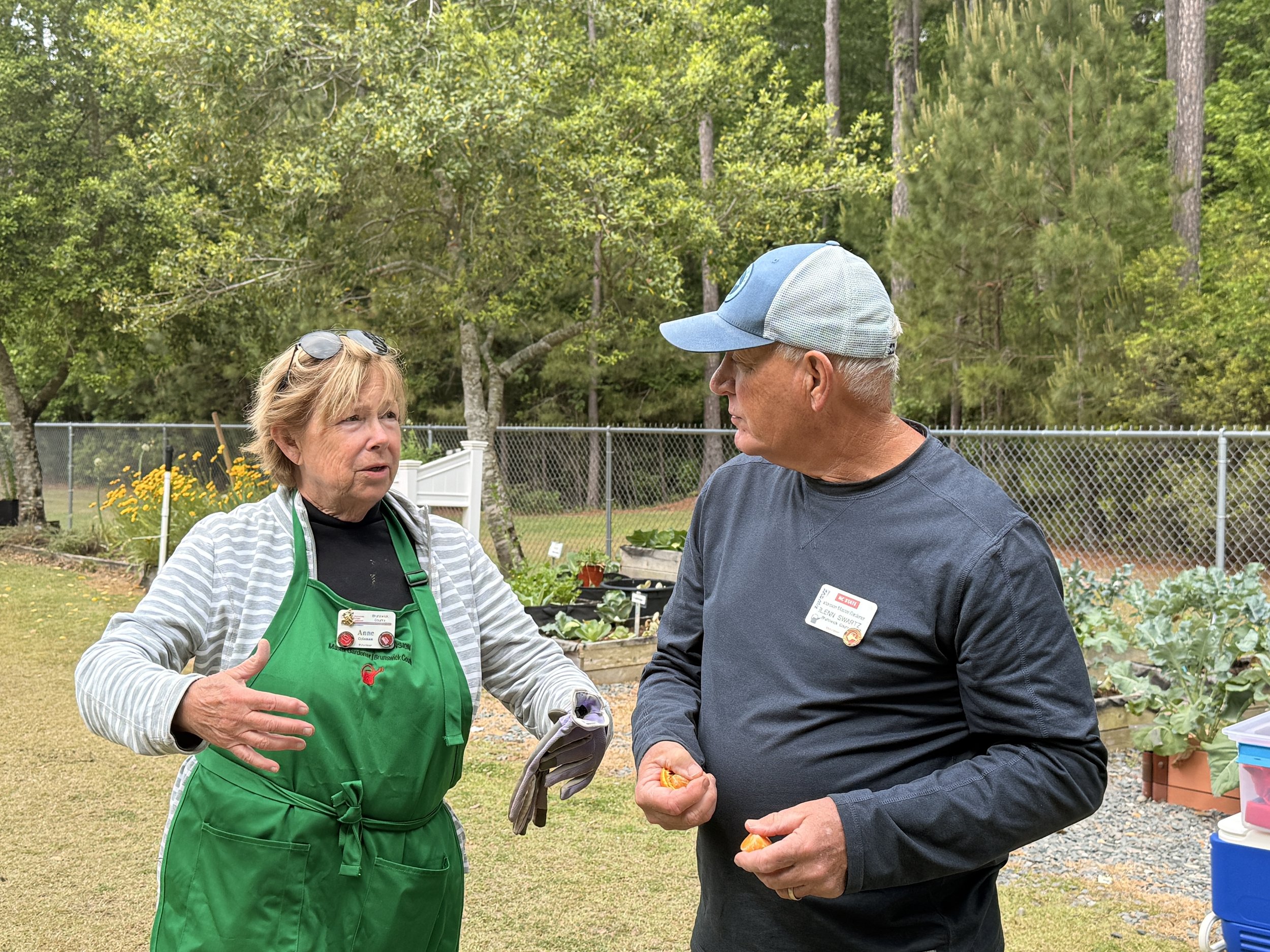 Two Master Gardeners talk in a garden, with one gesturing while the other listens, holding a snack near raised beds.
