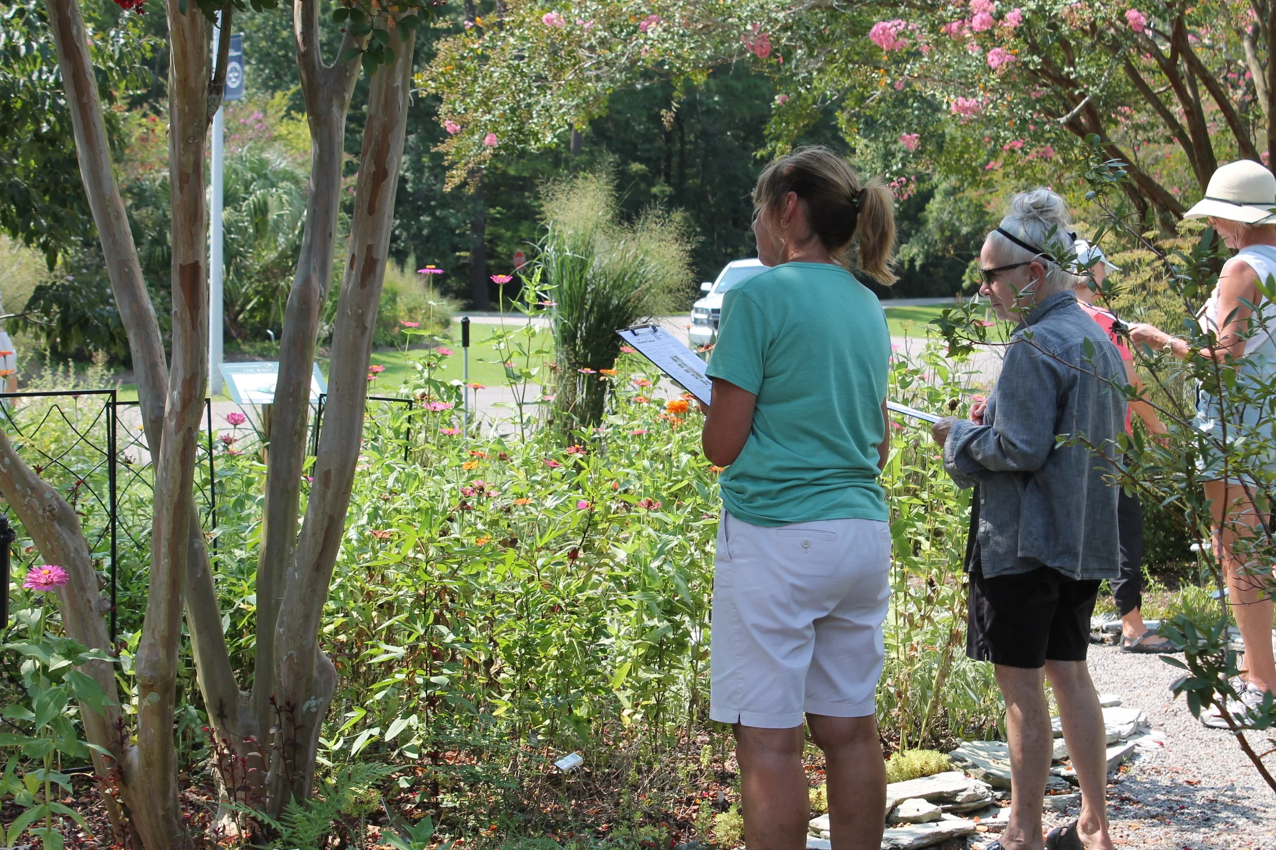 Citizen scientists use count sheets to identify and record pollinators among flowering plants in the Botanical Garden.
