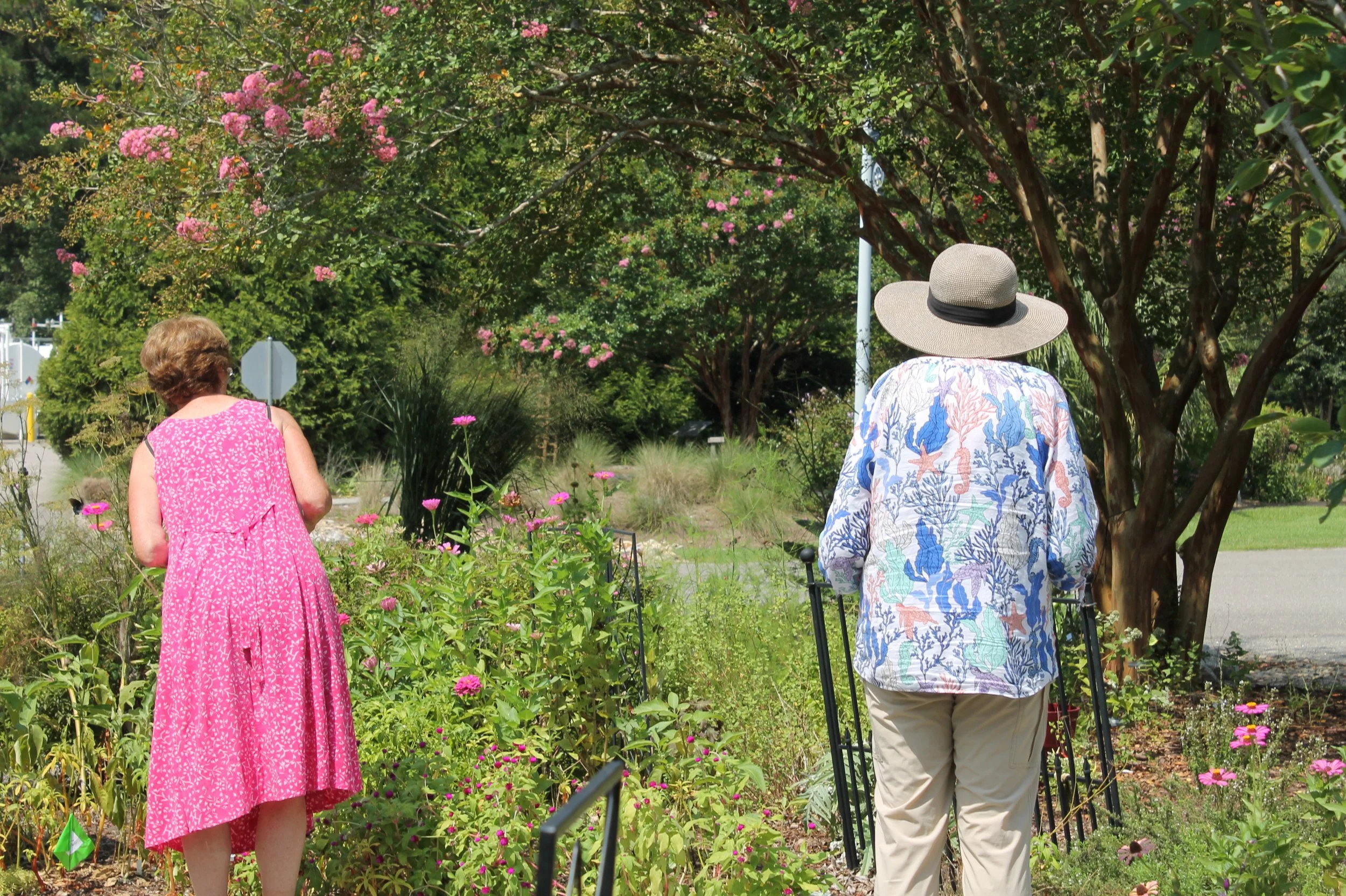 Pollinator Census participants search flowering plants for pollinators in the Botanical Garden.