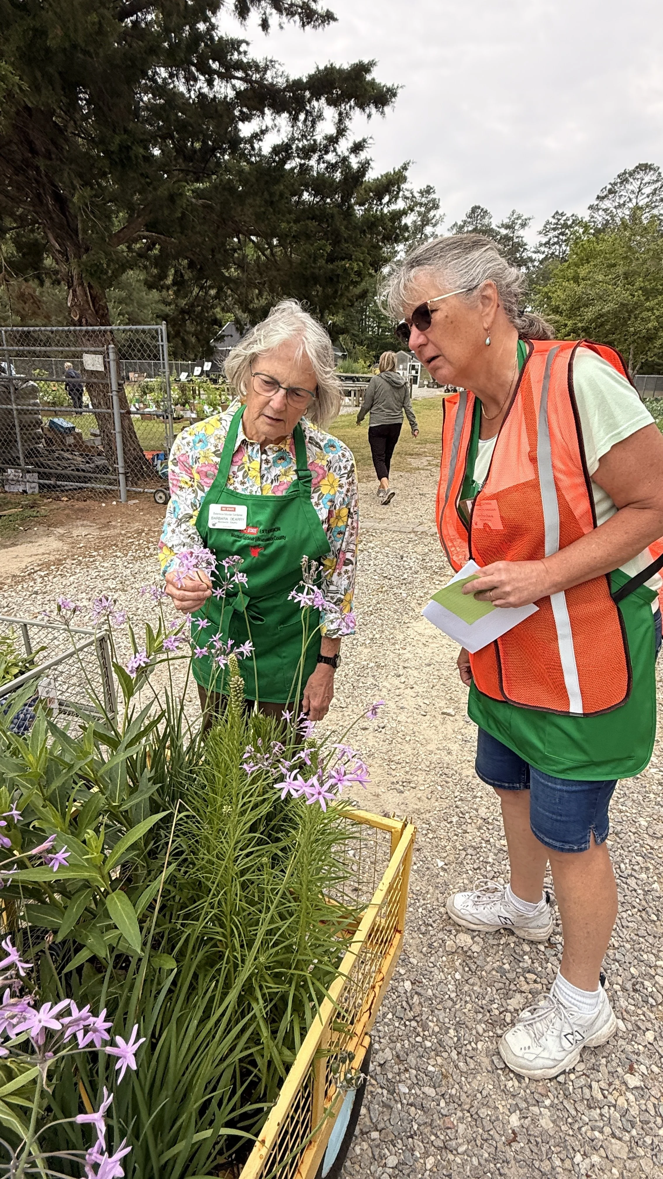 Two Master Gardeners examine flowering plants in a nursery area, with one pointing out blooms.