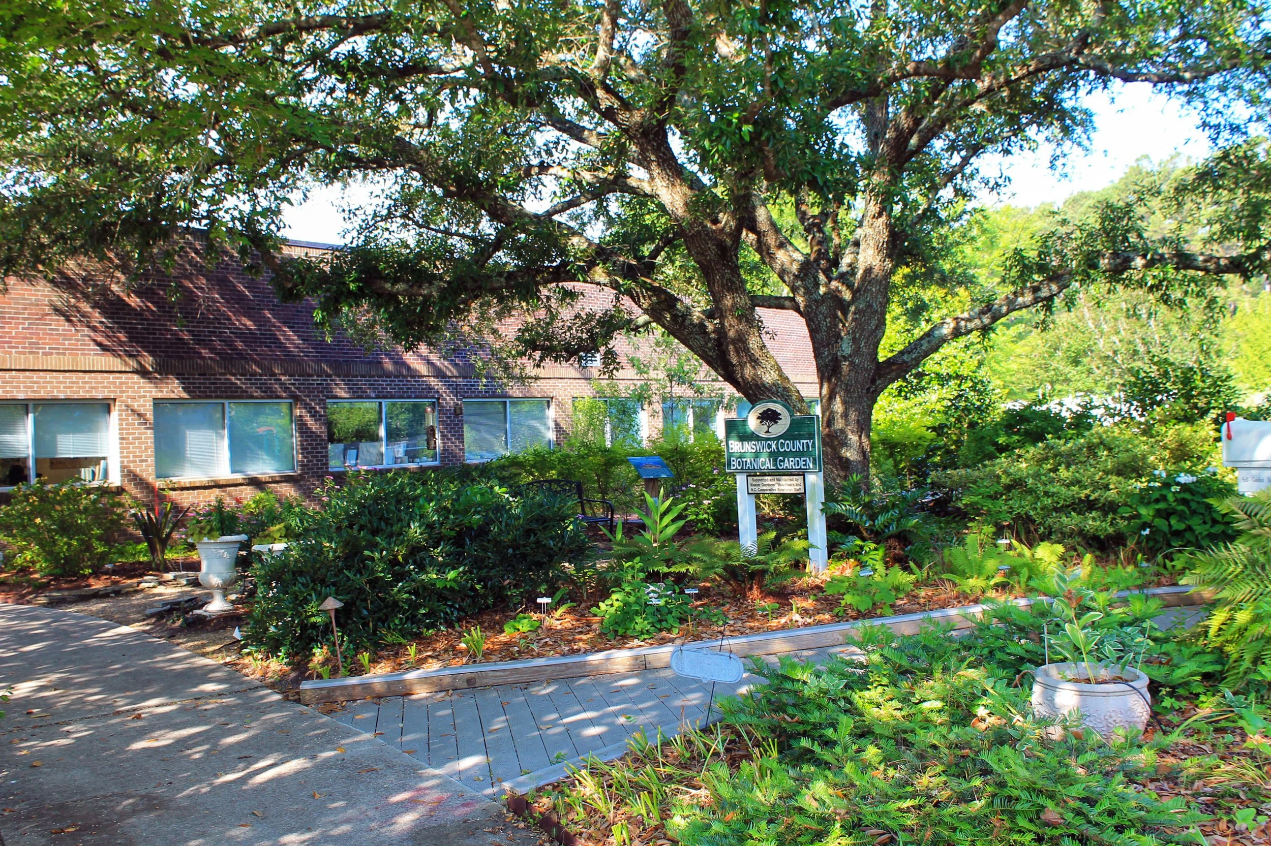 1.	A mature live oak anchors one of 17 distinct garden spaces visitors can explore at the Brunswick County Botanical Garden in Bolivia, N.C.