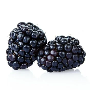Close-up of two ripe blackberries with glossy, deep purple-black drupelets, isolated against a light background.
