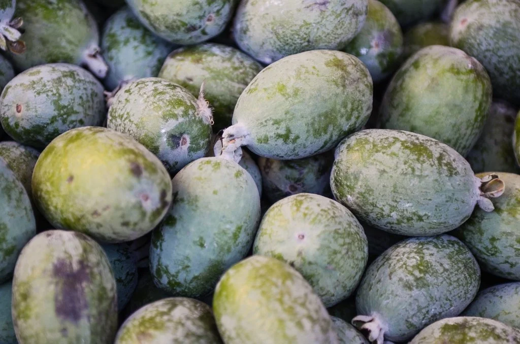 Close-up of a pile of small, oval green feijoa fruits with mottled skins and a slightly waxy appearance.