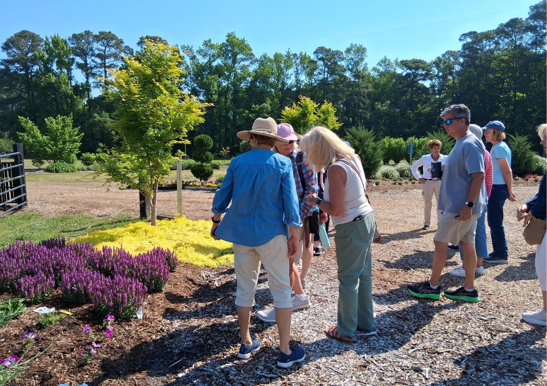 Master Gardeners gather along a landscaped garden bed, closely examining blooming flowers and plantings during a sunny Field Trip Friday visit to a nursery demonstration garden.