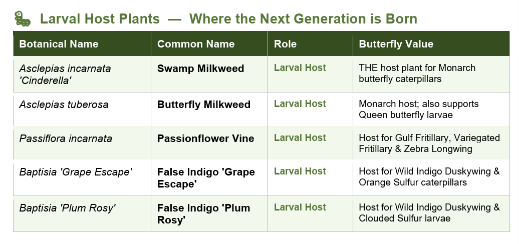 Picture of a list of Larval Host Plants