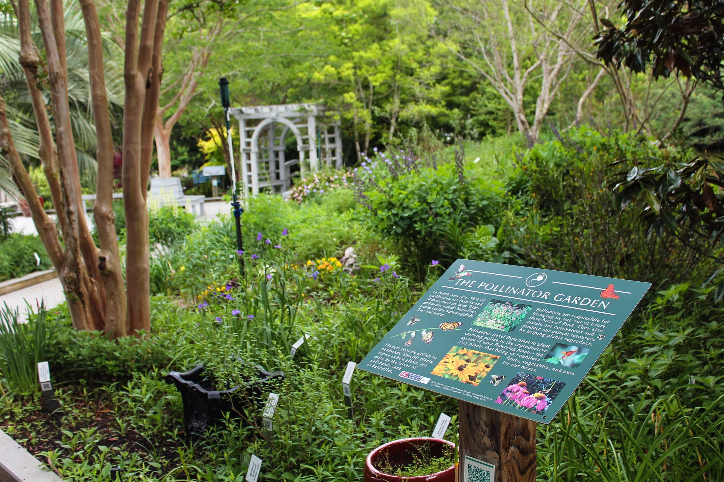 3.	The Pollinator Garden showcases plants that provide food and habitat for bees, butterflies and other pollinators.