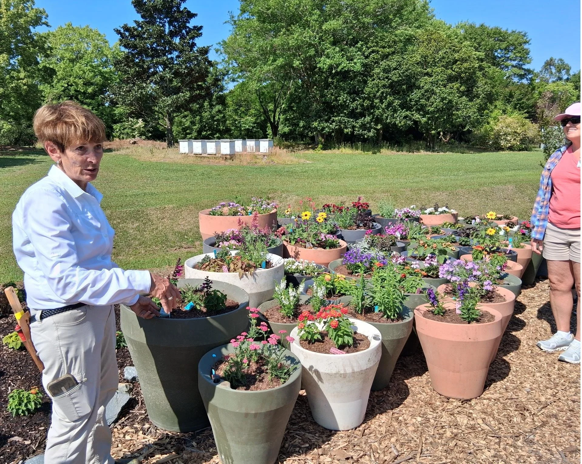 tour guide demonstrates a variety of flowering plants arranged in large container pots, with participants observing in a sunny demonstration garden setting.
