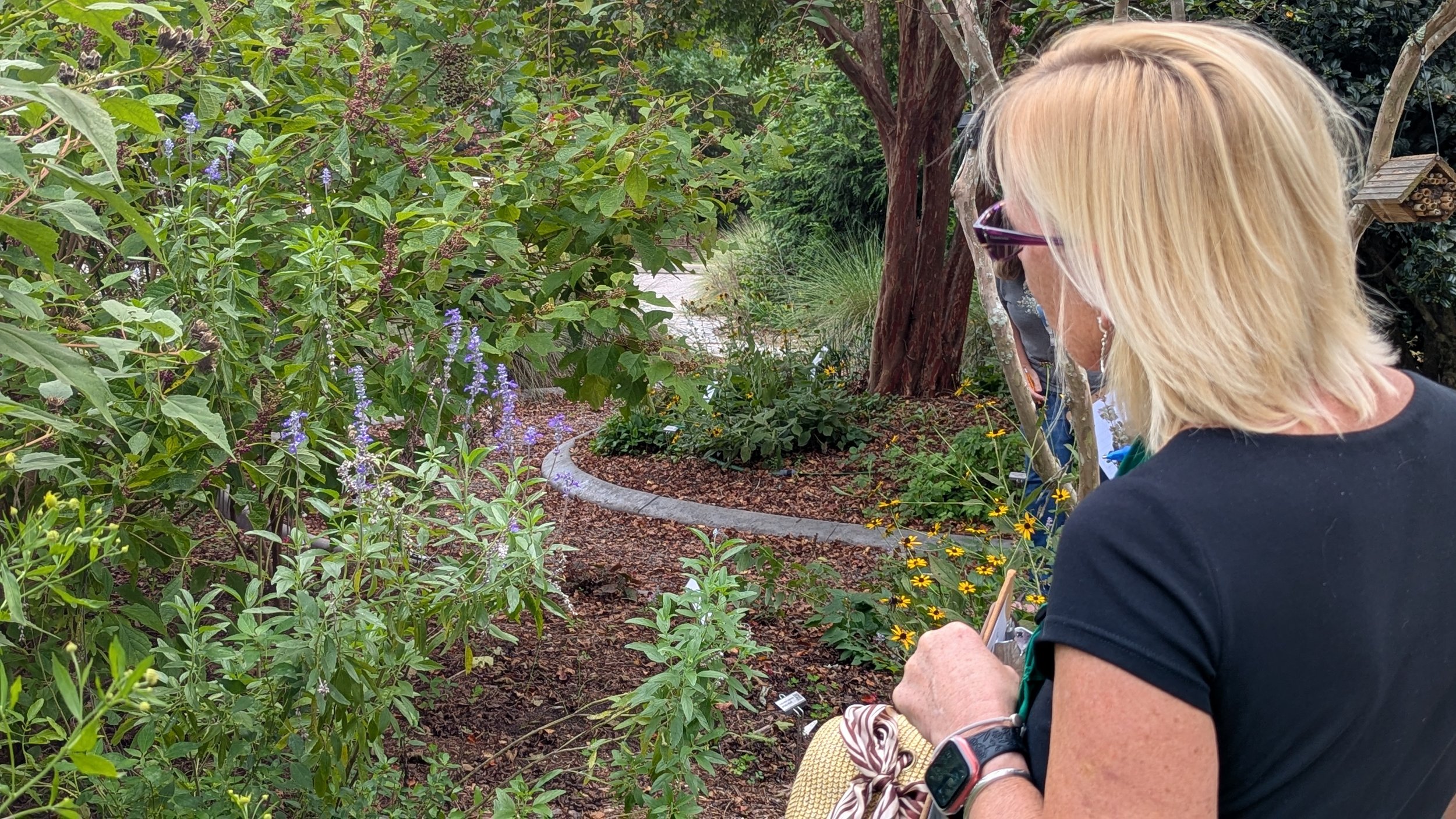 2.	A visitor explores the Brunswick County Botanical Garden, where Master Gardener volunteers help visitors discover plants and ideas for gardening successfully in Brunswick County.