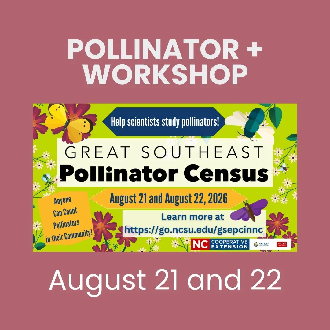 Pink rounded square promoting the Pollinator + Workshop on August 21 and 22.