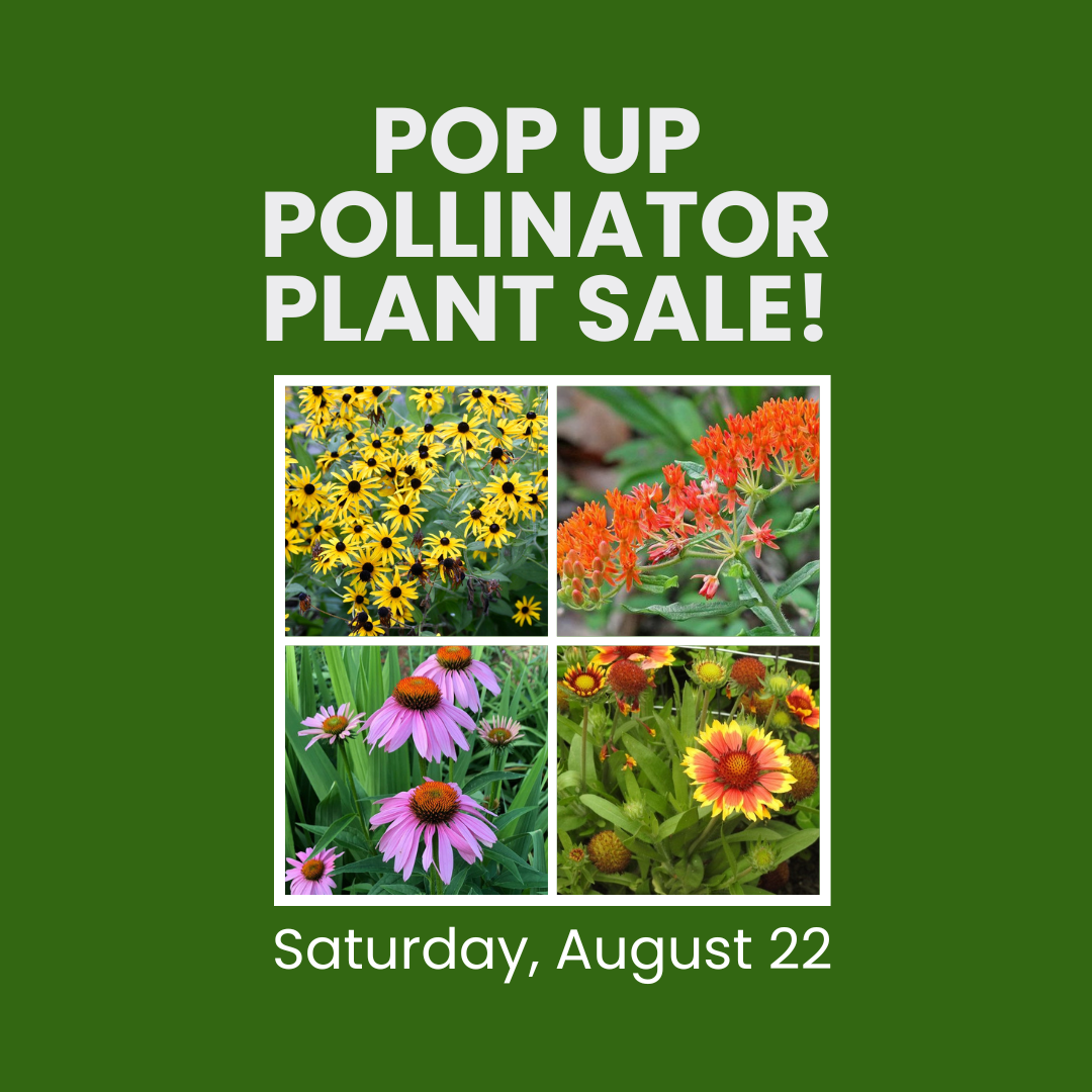 Pop Up Pollinator Plant Sale