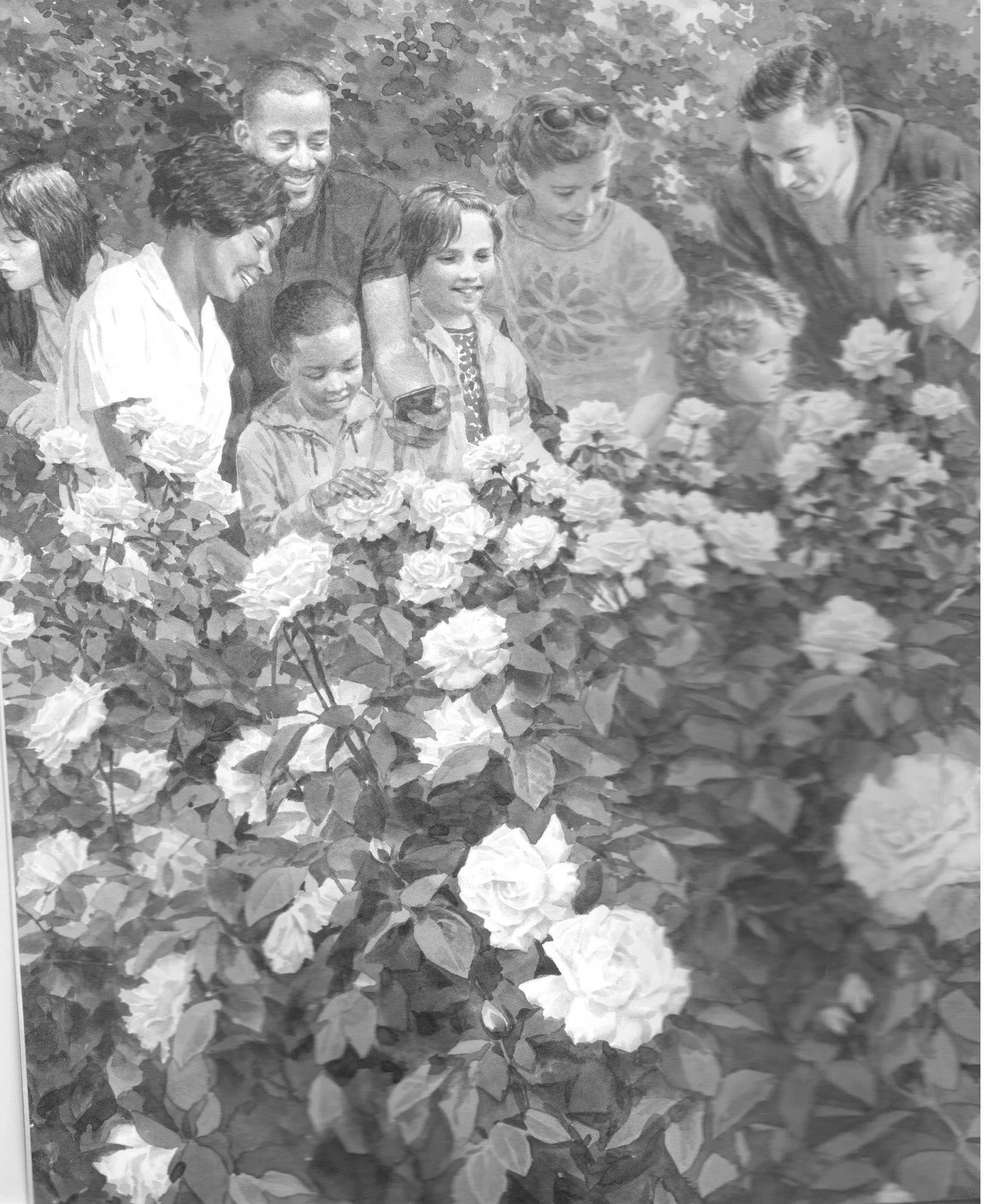 Illustration of a group of people standing beneath blooming rose branches, admiring the flowers.