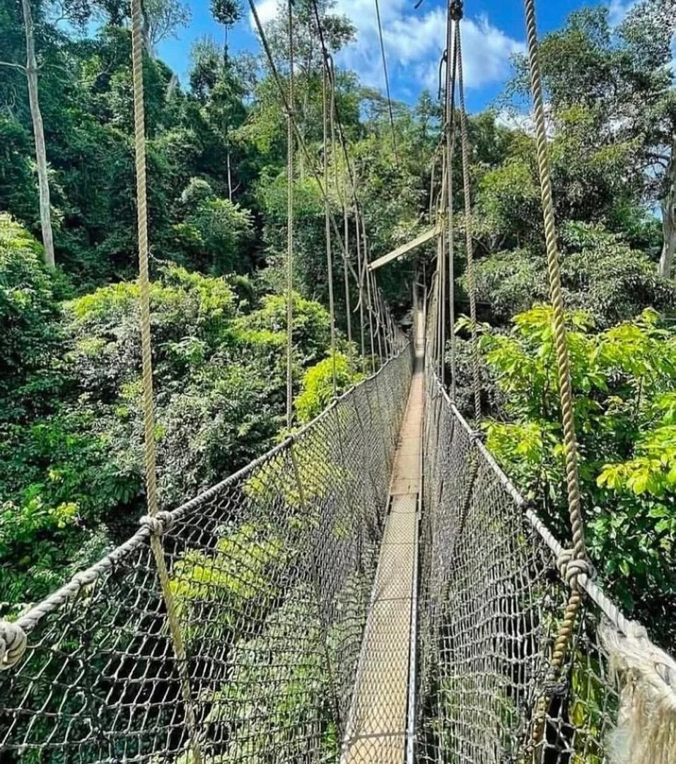 WhatsApp Image 2025-06-19 at 02.46.50 (18).jpeg