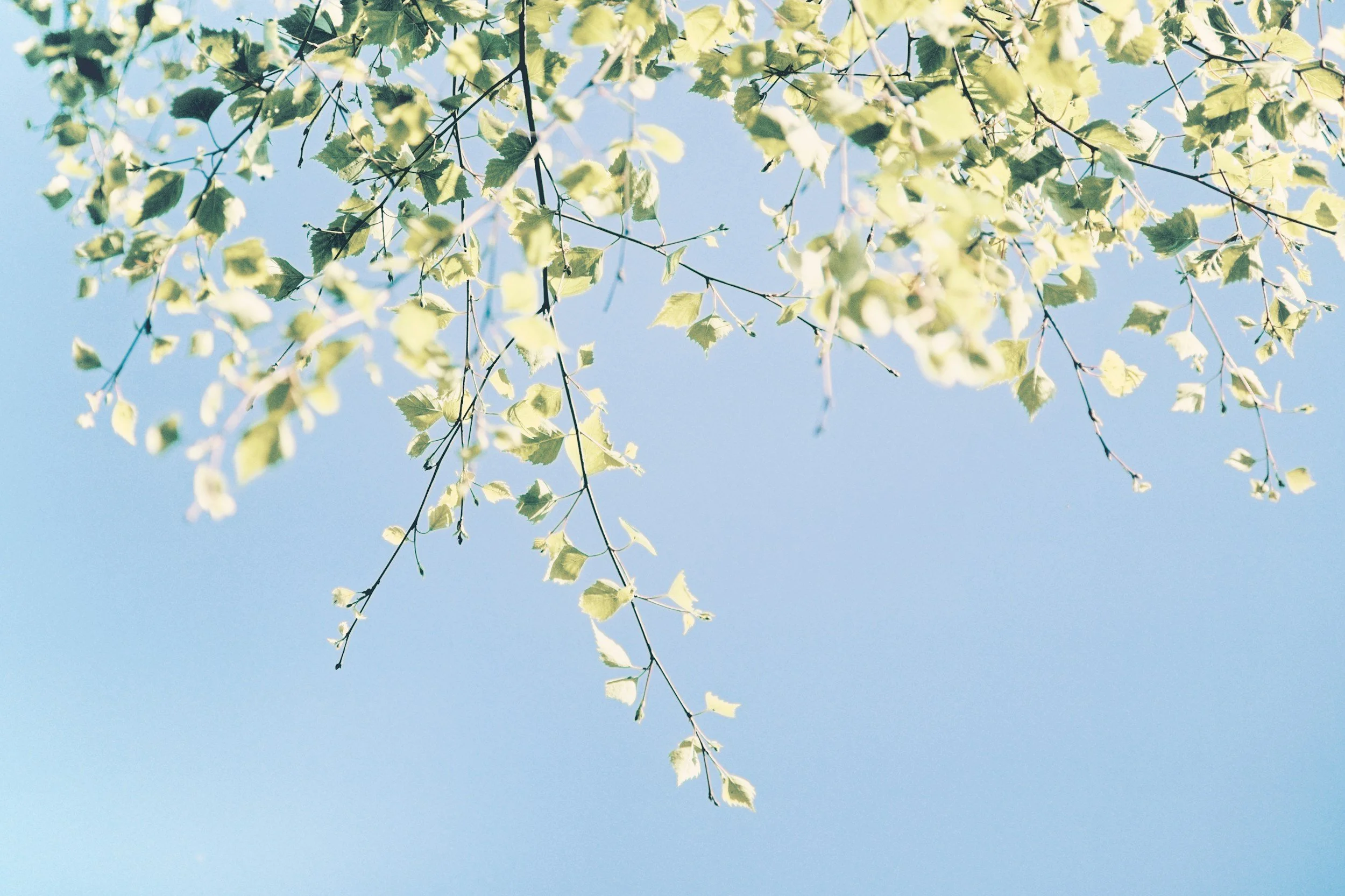 Why a QHHT Session With Me May Be the Journey You’ve Been Looking For