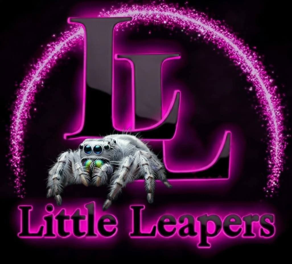 Little Leapers 