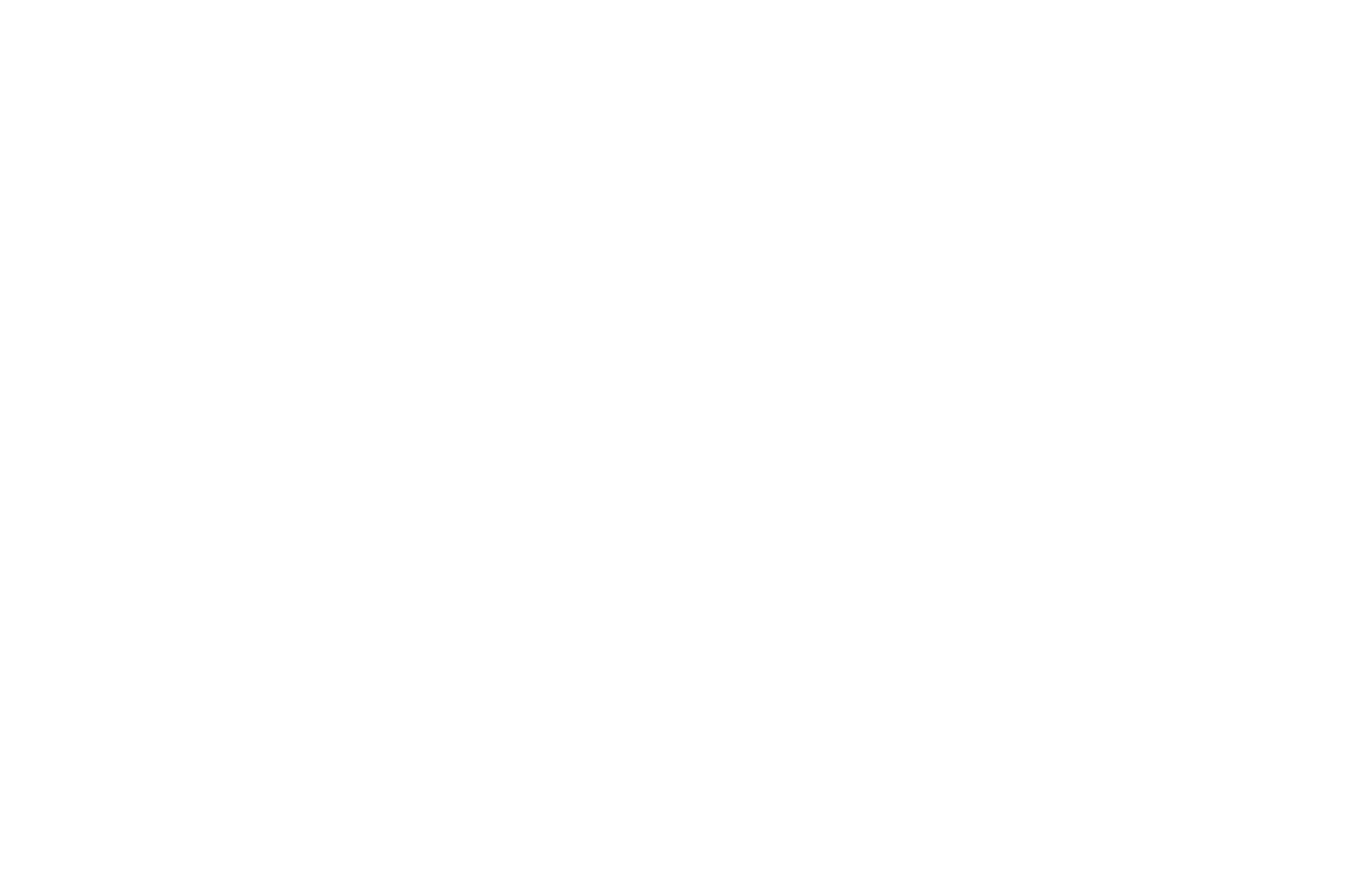 the ellison.png