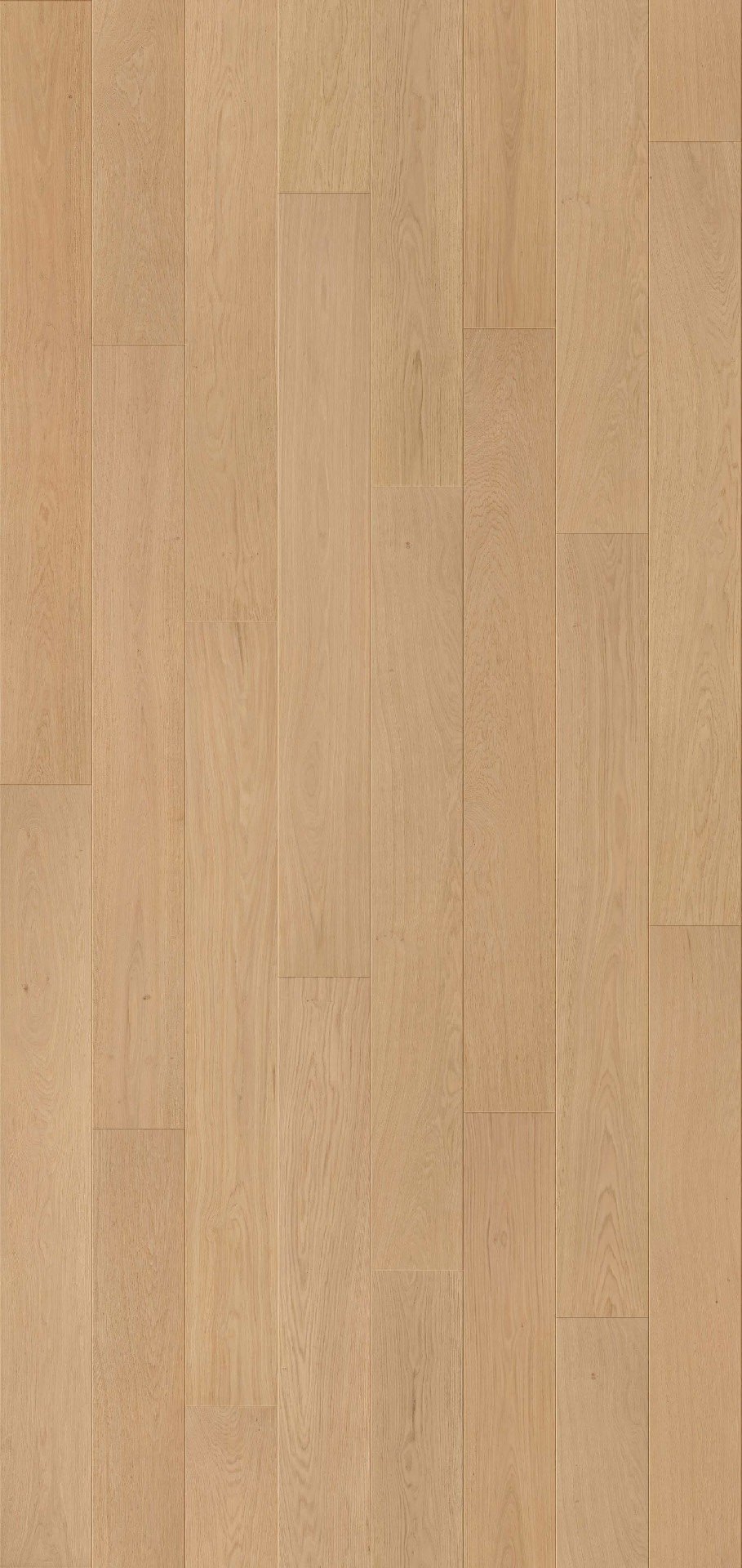 GAO13