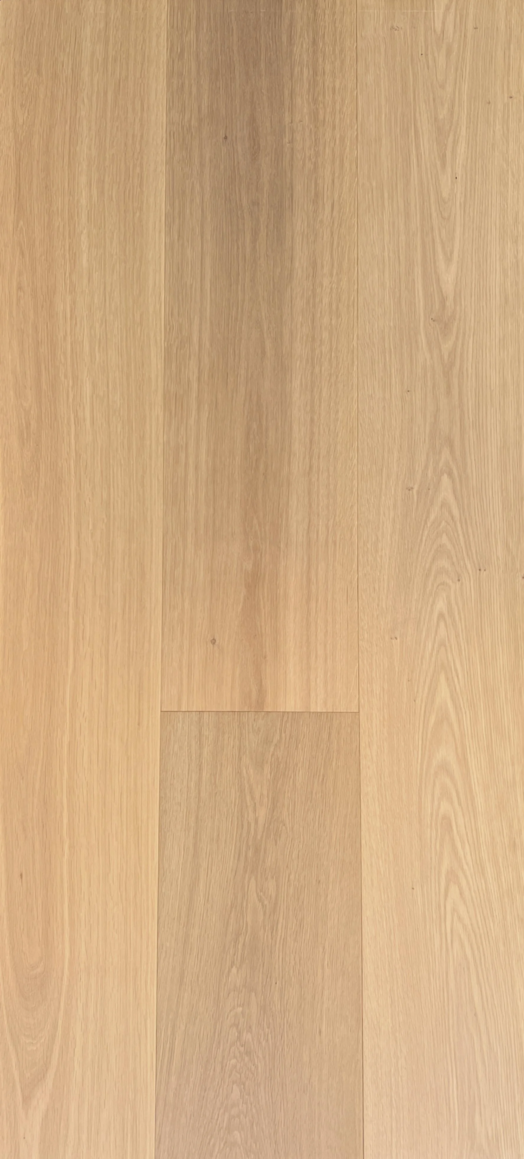 GAO13