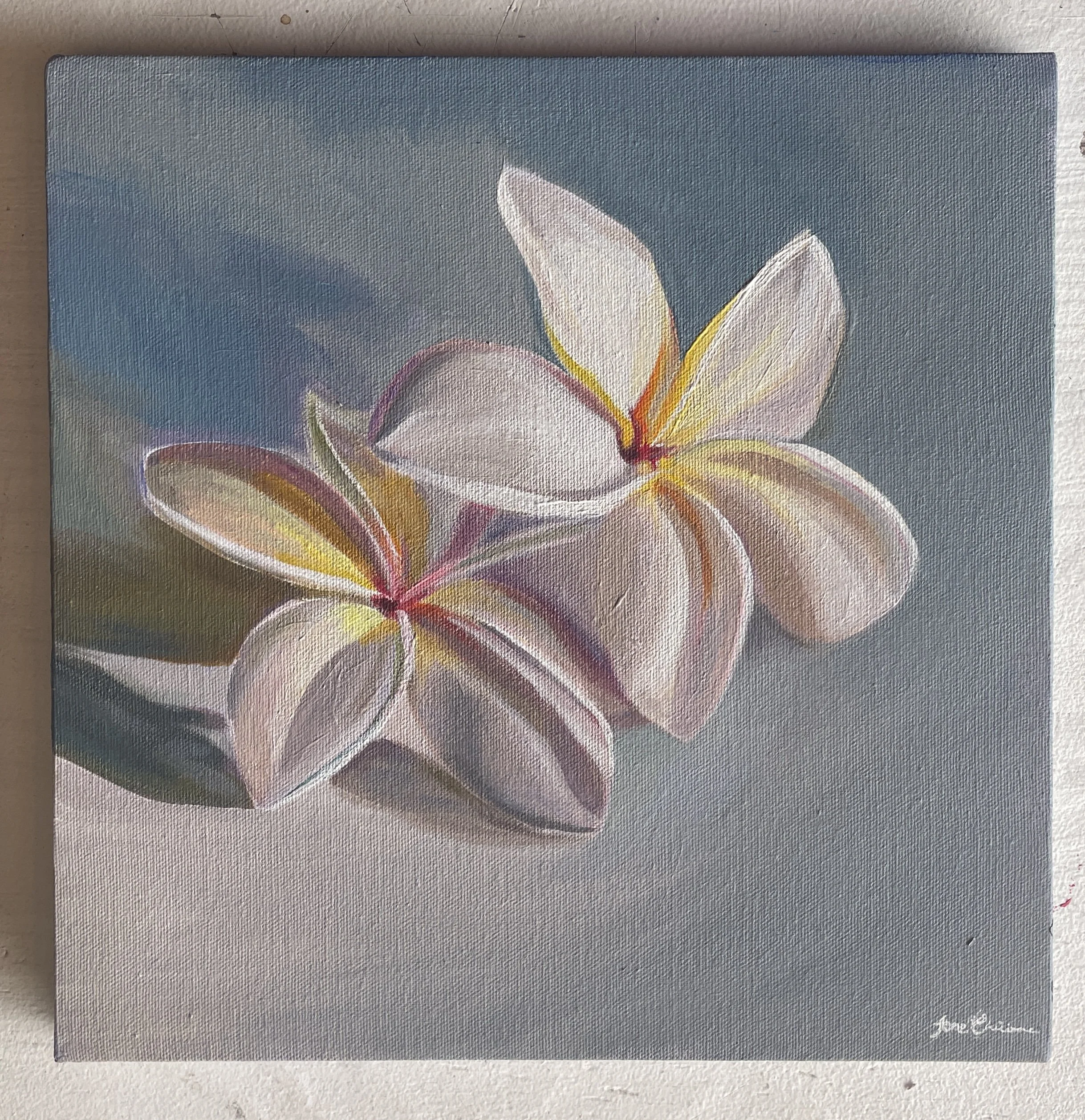 Plumerias