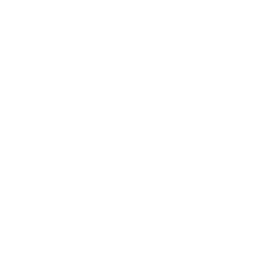 Tier Icons Rally Vector Stack Vertical.png