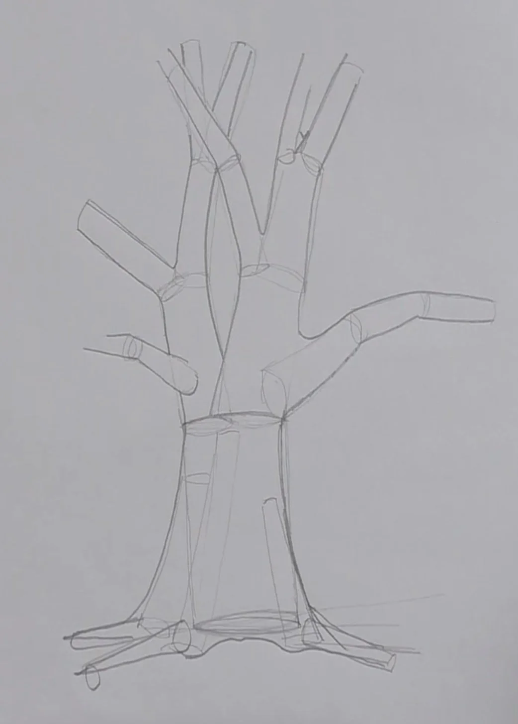 Draw A Tree With Cylinder Shapes