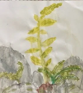Mullein