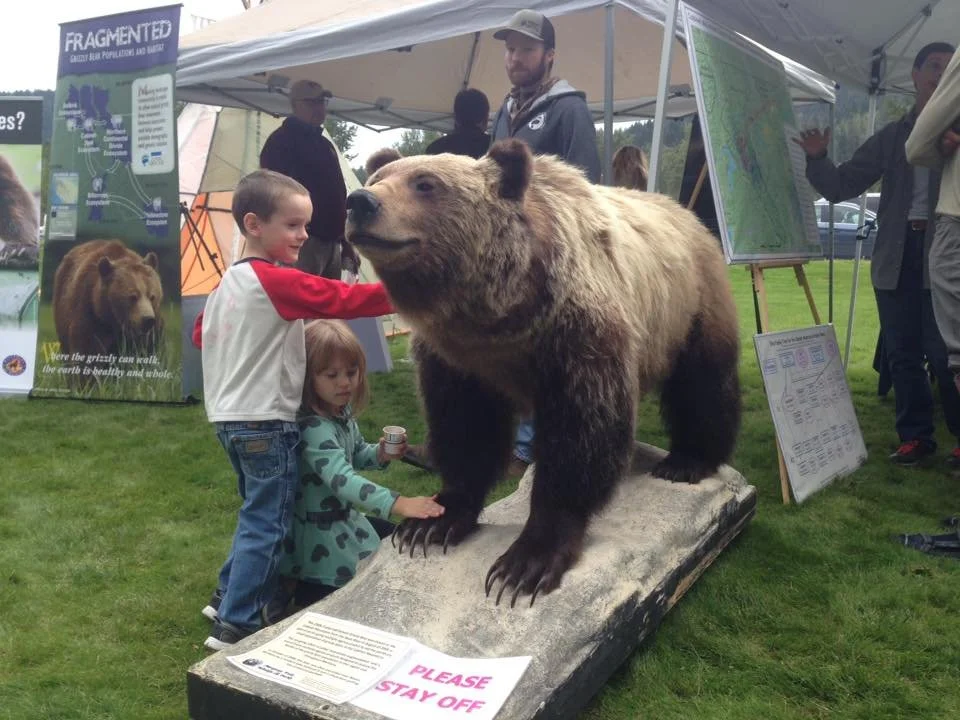 Stuffed Bear Display.jpg