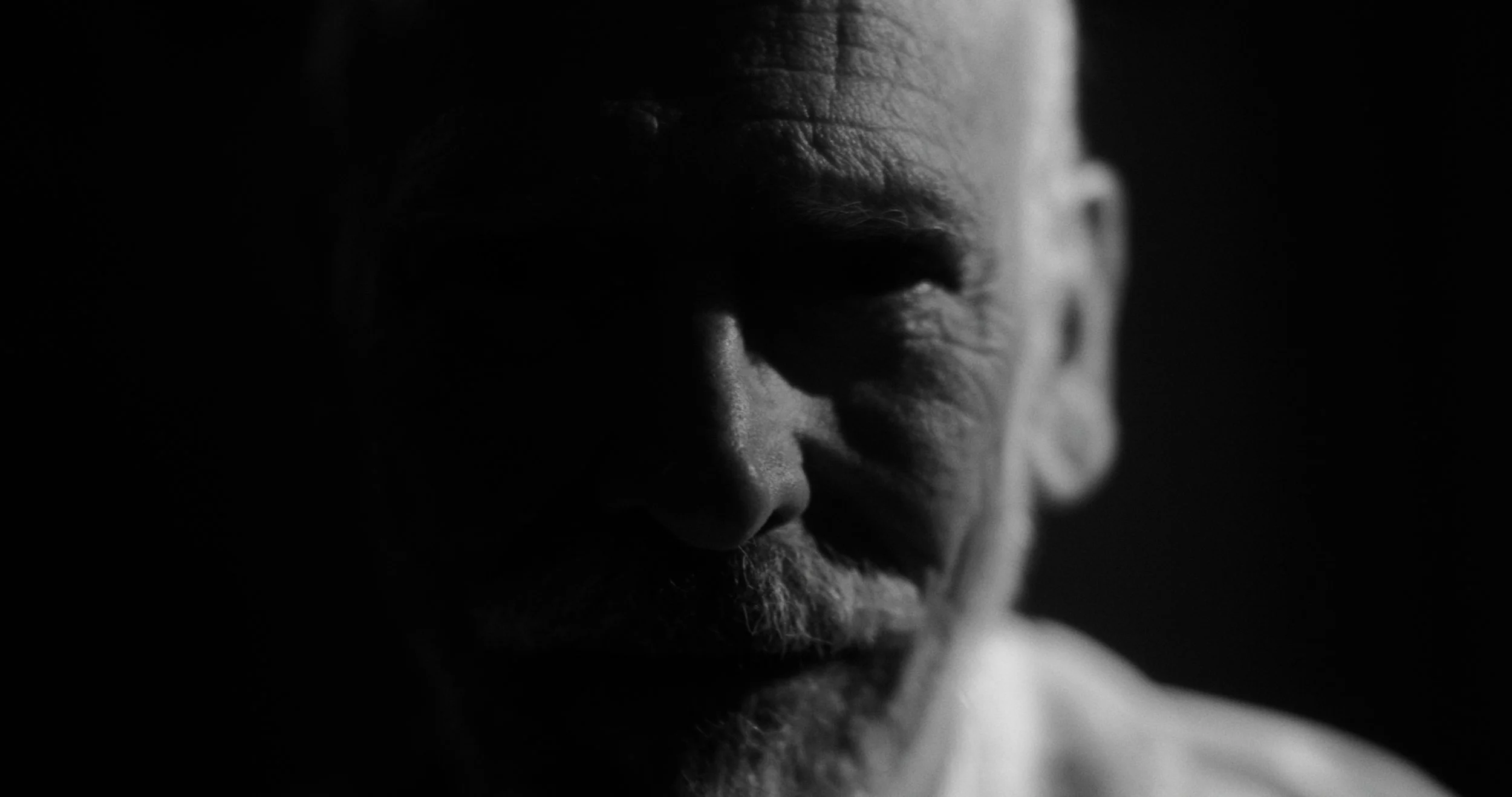 sheep color by EJP_1.2.1.jpg